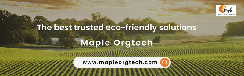 Maple Orgtech